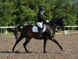 IMG_4903_web